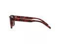 Arnette Bandra Sunčane Naočale AN 4298 27956Q