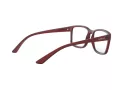Arnette Dirkk Naočale AN 7177 2495