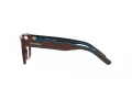Arnette Cold Heart Naočale AN 7228 1238