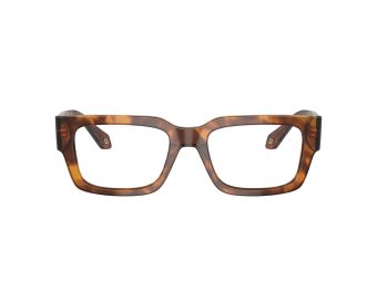 Giorgio Armani Naočale AR 7243U 5988