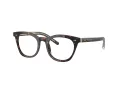 Giorgio Armani Naočale 7251 5879