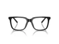 Giorgio Armani Naočale AR 7252U 5875
