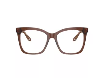 Giorgio Armani Naočale AR 7254U 6090