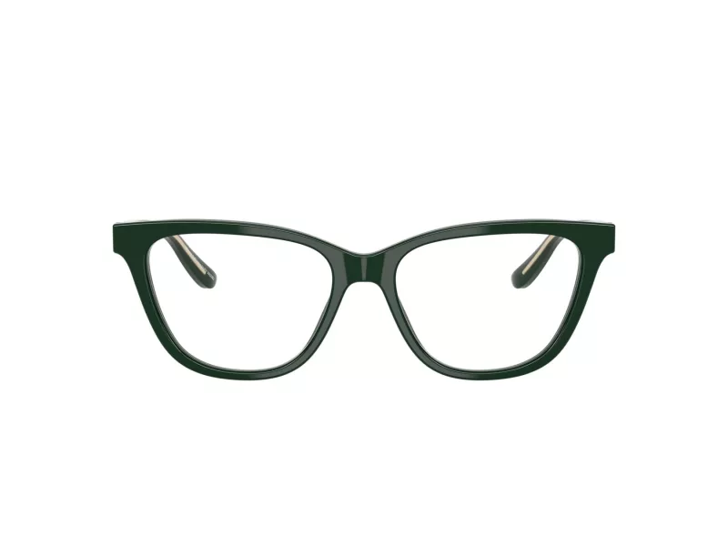 Giorgio Armani Naočale AR 7263 6173