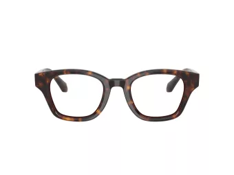Giorgio Armani Naočale AR 7274 5879