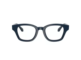 Giorgio Armani Naočale 7274 6223