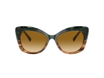 Giorgio Armani Sunčane Naočale AR 8161 59302L