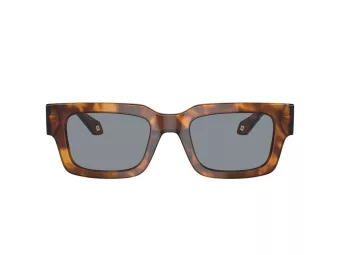 Giorgio Armani Sunčane Naočale 8184U 598802