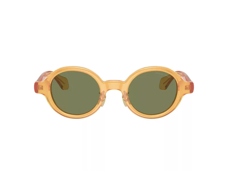 Giorgio Armani Sunčane Naočale 8205 60632A