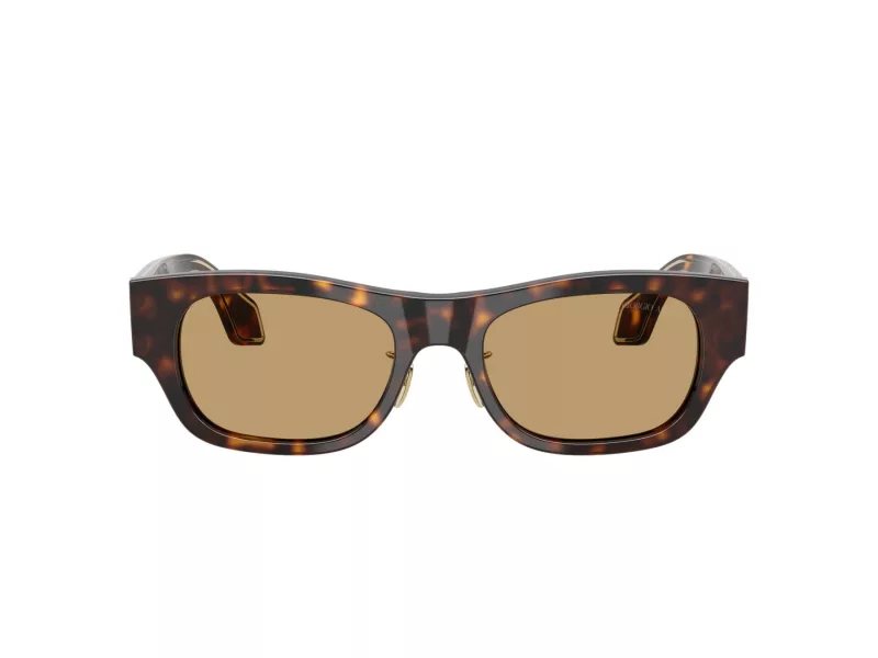 Giorgio Armani Sunčane Naočale 8224 502673