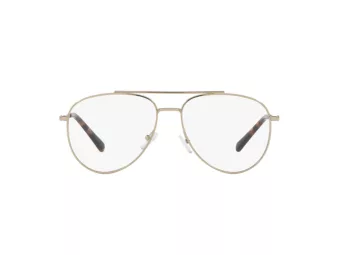 Armani Exchange Naočale AX 1055 6110