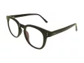 Berkeley Naočale BB 2125 C1