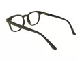 Berkeley Naočale BB 2125 C1