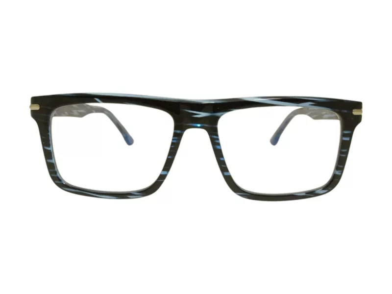 Berkeley Naočale BB 2201 C6
