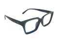 Berkeley Naočale BB 5096 C5