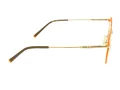 Berkeley Naočale BB 705016 C3