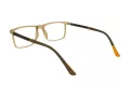 Berkeley Naočale BB H6520 C2