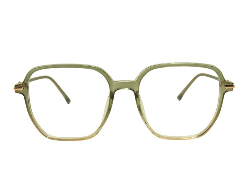 Berkeley Naočale BB TJ5805 C5