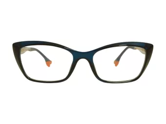 Berkeley Naočale BB TR76013 C4