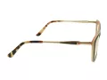 Berkeley Naočale BB WP86004 C3