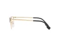 Burberry Naočale 1338D 1017