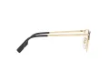 Burberry Naočale 1338D 1017
