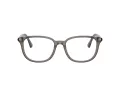 Burberry Naočale 2434D 4160