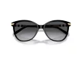 Burberry Sunčane Naočale 4216 3001T3
