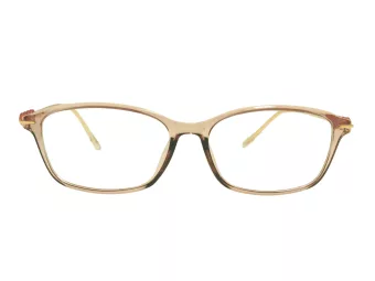Berkeley naočale za računalo BB T5005 C4 55