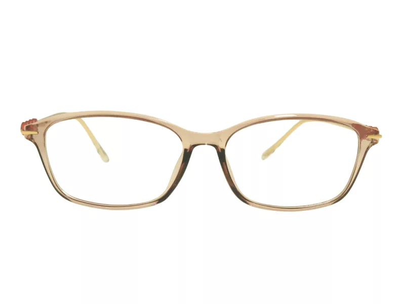 Berkeley naočale za računalo BB T5005 C4 55