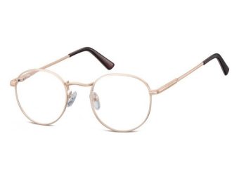 Berkeley naočale za računalo 604 F