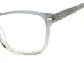 Carrera Naočale CA 3009 3U5