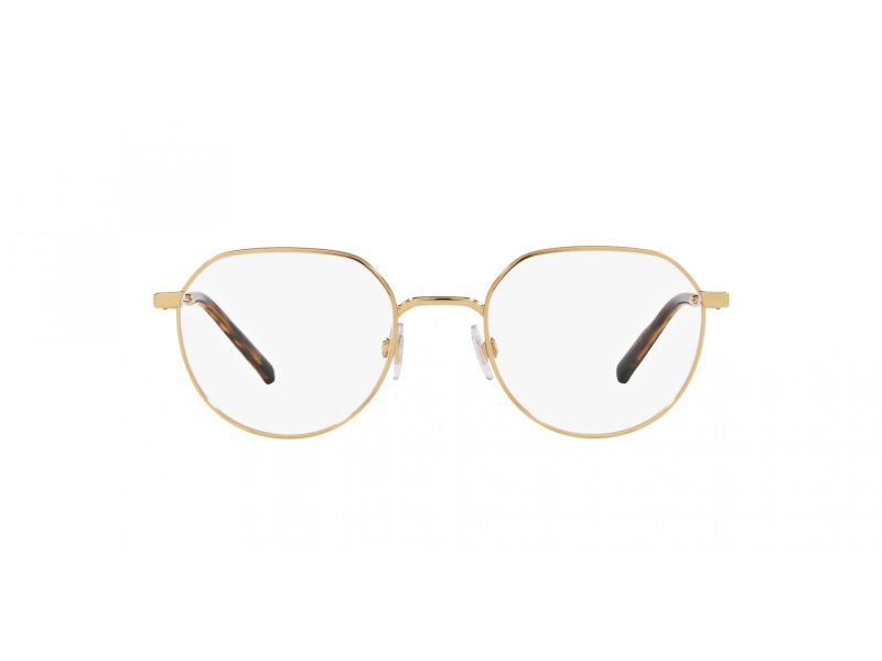 Dolce & Gabbana Naočale DG 1349 02