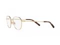 Dolce & Gabbana Naočale DG 1349 02
