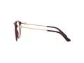 Dolce & Gabbana Naočale 3363 3091
