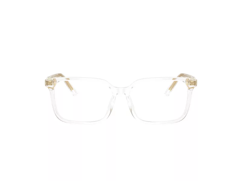 Dolce & Gabbana Kids Naočale DX 3003 3133