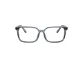 Dolce & Gabbana Kids Naočale DX 3003 3482