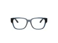 Dolce & Gabbana Kids Naočale DX 5006 3009