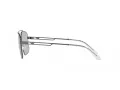 Emporio Armani Sunčane Naočale EA 2139 300387