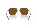 Emporio Armani Sunčane Naočale EA 2162 300163