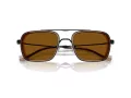 Emporio Armani Sunčane Naočale EA 2162 300163