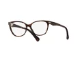 Emporio Armani Naočale EA 3172 5234