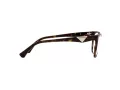 Emporio Armani Naočale EA 3172 5234