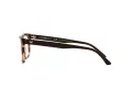 Emporio Armani Naočale EA 3185 5903