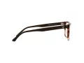 Emporio Armani Naočale EA 3185 5903