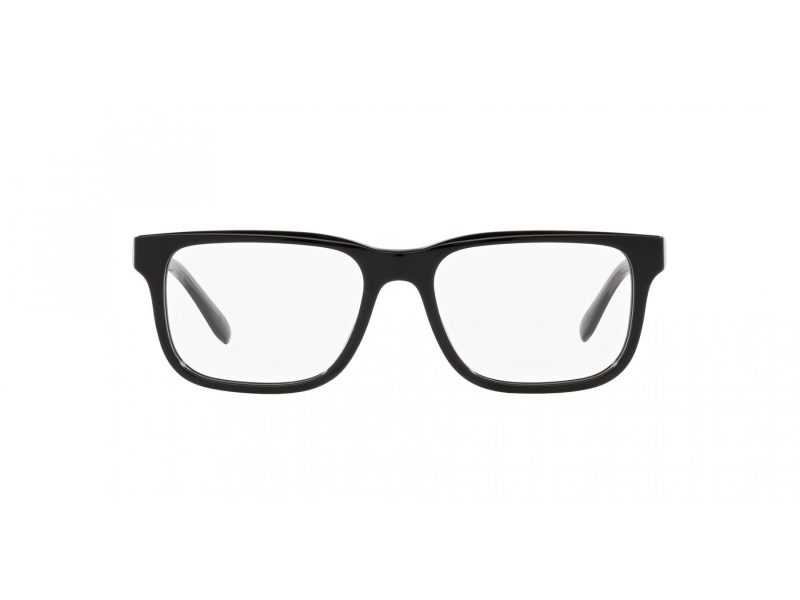 Emporio Armani Naočale EA 3218 5017