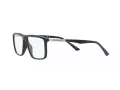 Emporio Armani Naočale 3221 5088