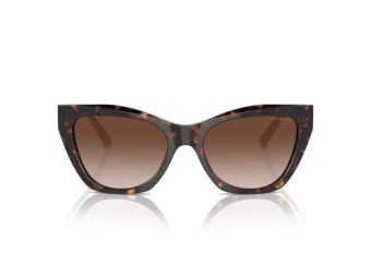 Emporio Armani Sunčane Naočale EA 4176 587913 Emporio Armani Sunčane Naočale EA 4176 587913