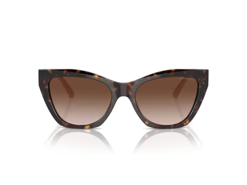 Emporio Armani Sunčane Naočale EA 4176 587913