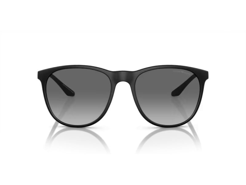 Emporio Armani Sunčane Naočale EA 4210 500111